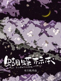 蝴蝶标本制作过程图片